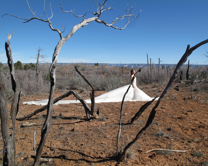 Abbie R Powers performance photography silk dress