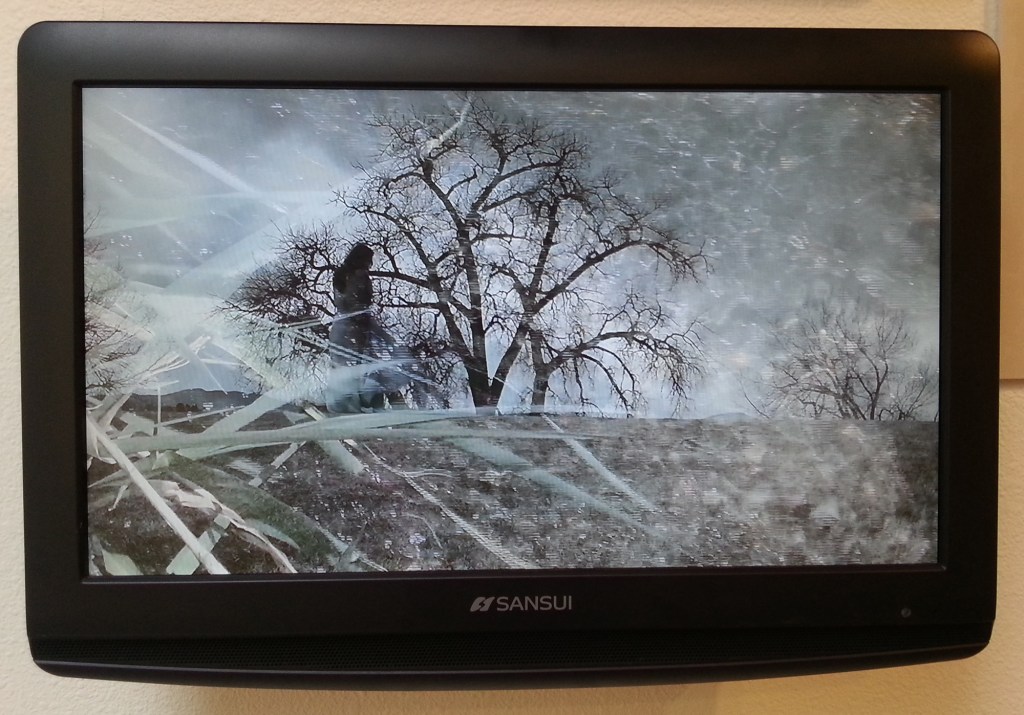 walking into spring [let it melt] still