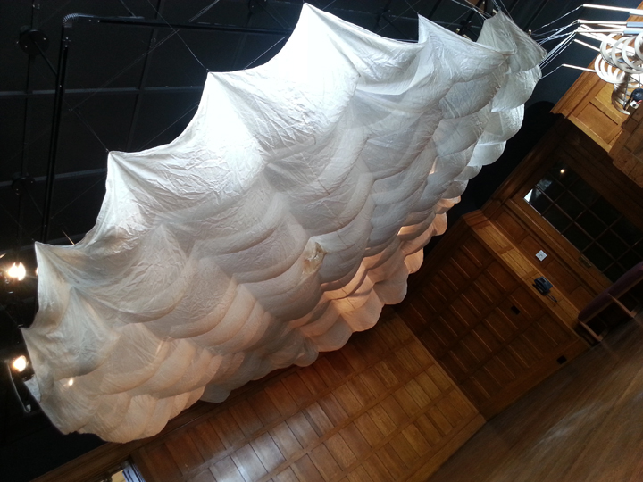 Abbie R Powers silk installation art