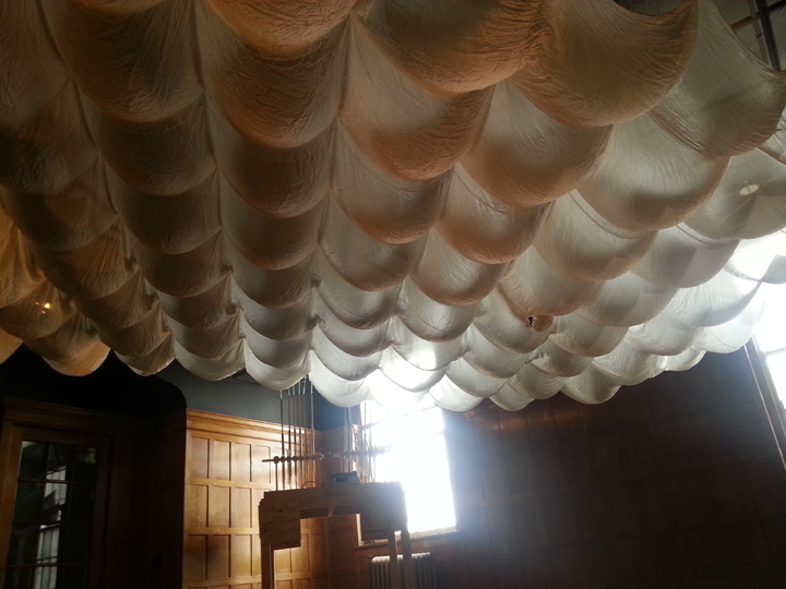 Abbie R Powers silk installation art