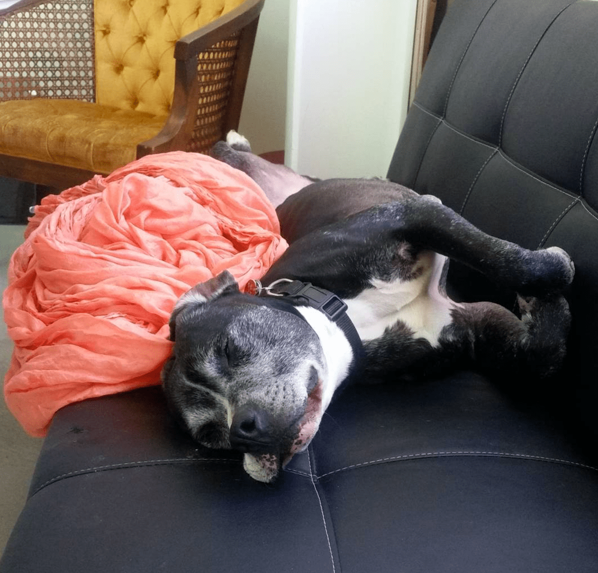 Screen Shot 2017-09-07 at 1.03.09 PM.png